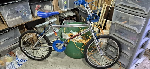 1894 raleigh chrome - chrome, special