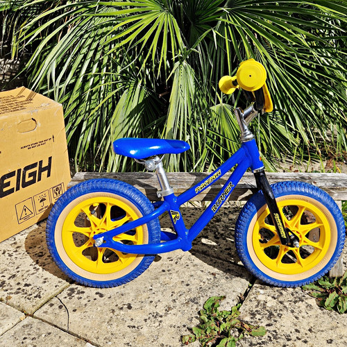 Raleigh burner 12in - raleigh,